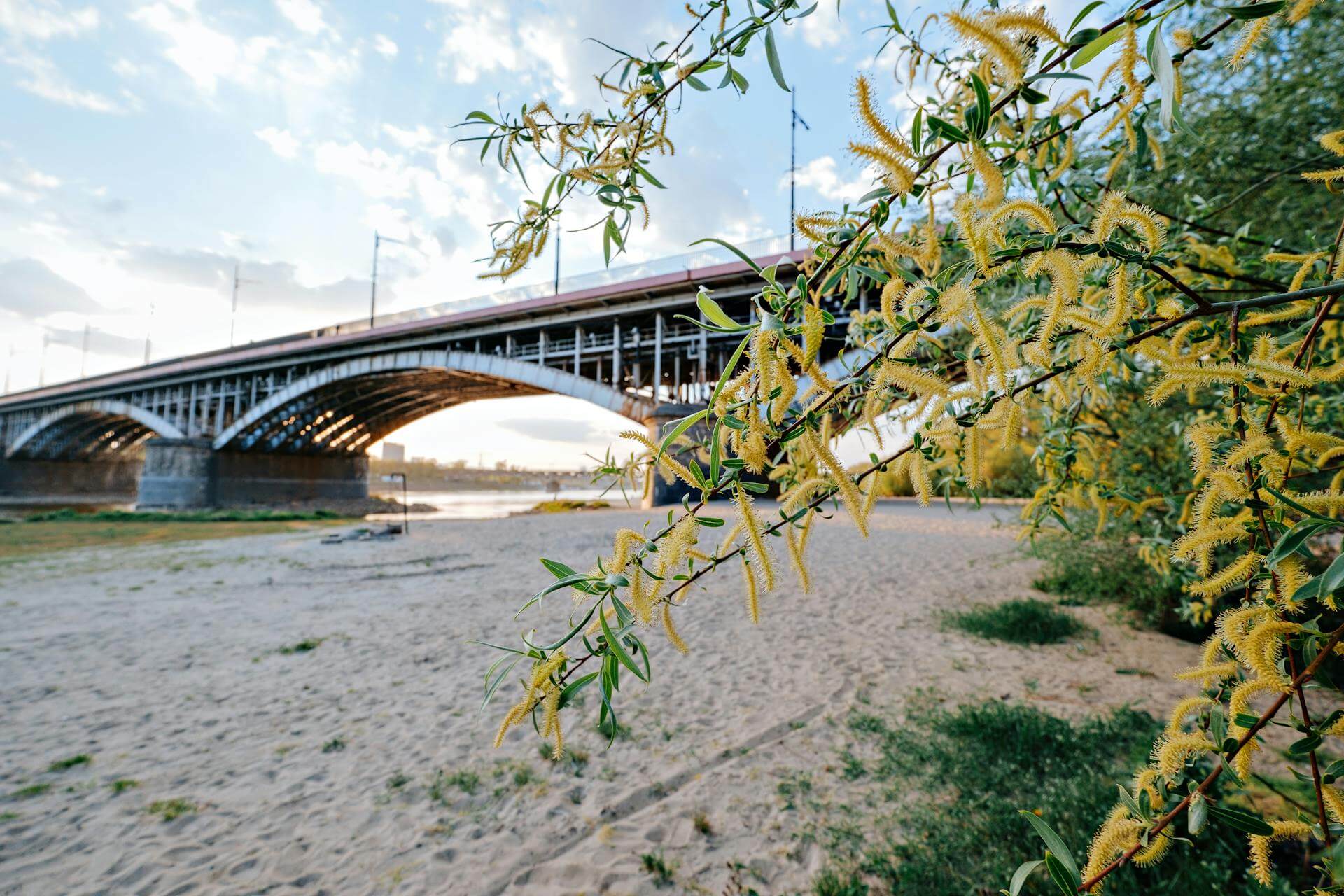 vistula river