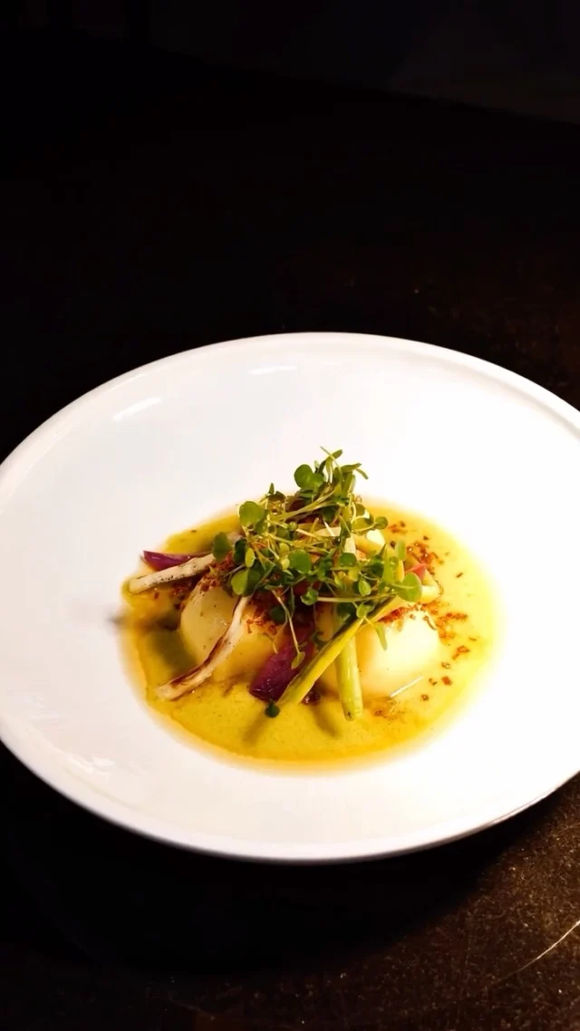 KUK to przestrzeń kulinarnej wyobraźni, gdzie tradycja flirtuje z nowoczesnością, a klasyczne polskie smaki odkrywają swoje nowe oblicze. 
Poznaj naszą najnowszą propozycję 
— pyzy ziemniaczane z twarogiem i porem. 

KUK is a space of culinary imagination, where tradition flirts with modernity and classic Polish flavors reveal a whole new expression. 
Discover our latest creation — potato dumplings 
with cottage cheese and leek.