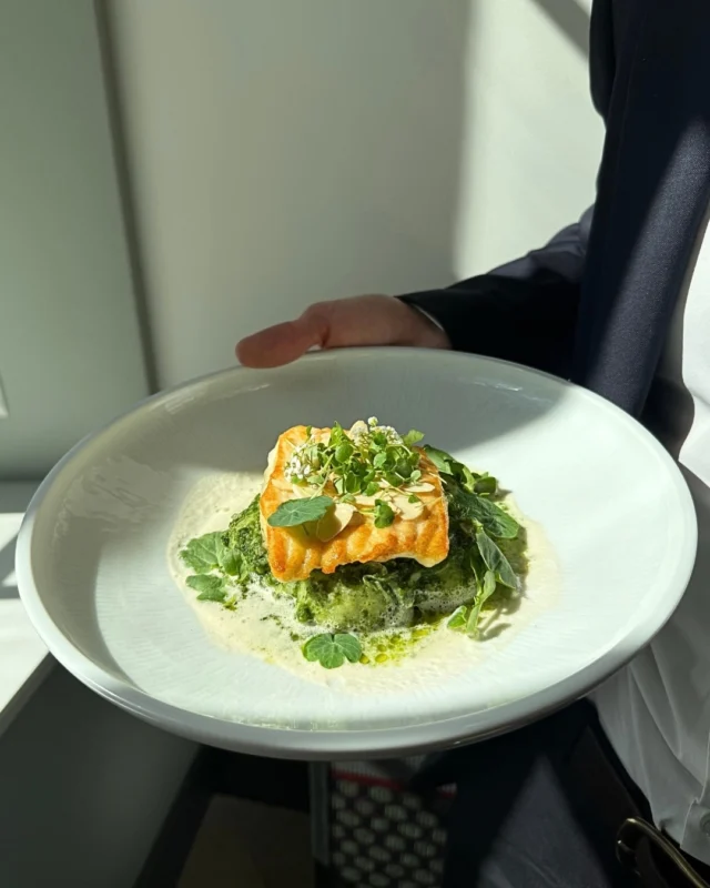 Zapraszamy na odkrywanie smaków w naszym menu 🌿

🍴 Turbot | kluski śląskie w pesto z rzeżuchy 

Wiosennie, świeżo i lekko – idealnie wpisują się 
w cieplejsze dni.

Pon.–Pt. 13:00–22:00
Sb.–Nd. 13:00–22:00

🛎 511 464 645
📍 Miodowa 6/8, Warszawa

Zapraszamy 🌿

Invite to discover the flavors in our menu 🌿

🍴 Turbot | Silesian dumplings in cress pesto 

Fresh, light and full of spring – perfect for the warmer days.

Mon–Fri 13:00–22:00
Sat–Sun 13:00–22:00

🛎 +48 511 464 645
📍 Miodowa 6/8, Warsaw

We look forward to seeing you 🌿